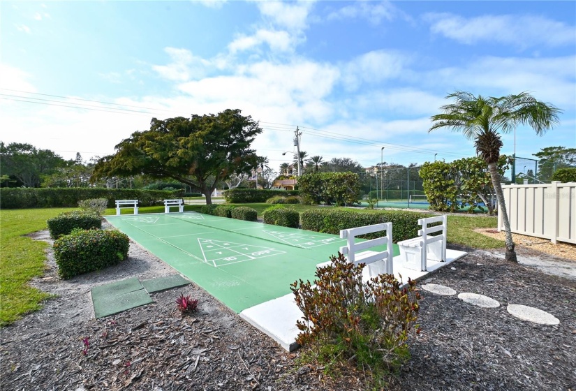 Shuffleboard