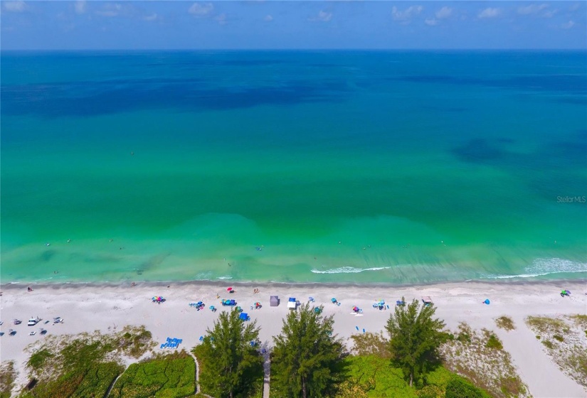 Gulf of Mexico Amazing Colors