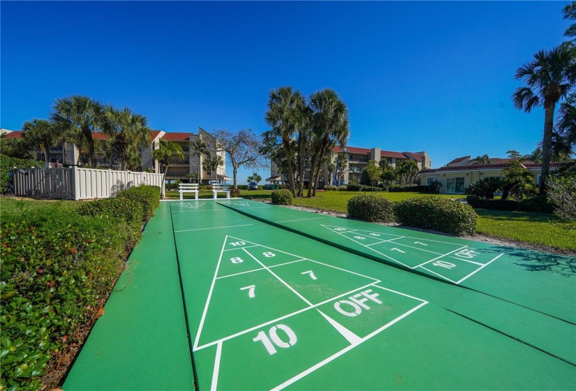 Shuffleboard