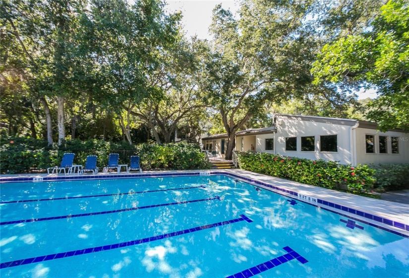 One of 3 swimming pools