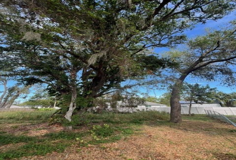 Shaded large back yard partially fenced.