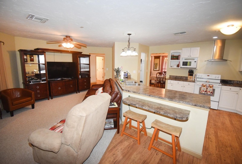 Living room / Kitchen with breakfast bar