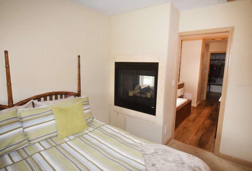 Master bedroom showing fireplace