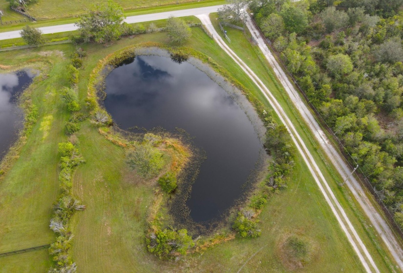 Front pond showing Clay Gully Rd and driveway