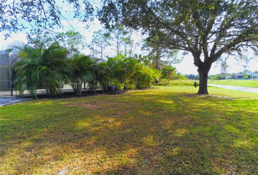 Oversized Tip Lot on a Brackish Canal