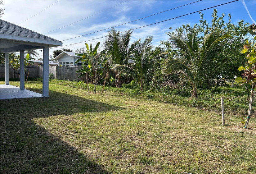 View from back of house