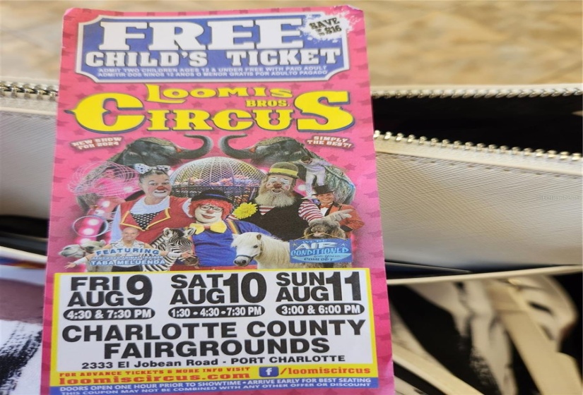 The Circus Comes to Town!!