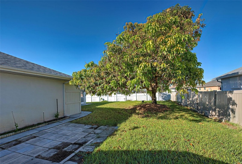 Large detached shed