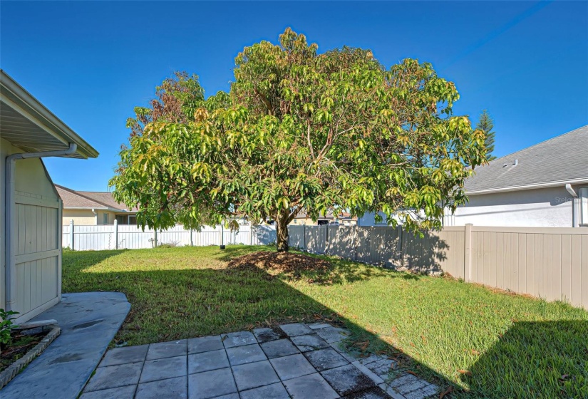 Florida sunlit backyard!