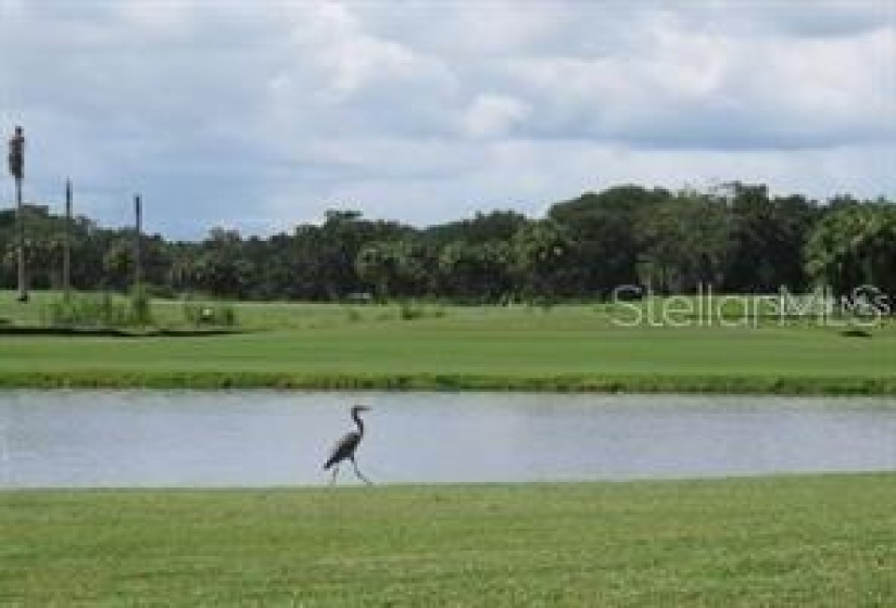 Beautiful golf course community