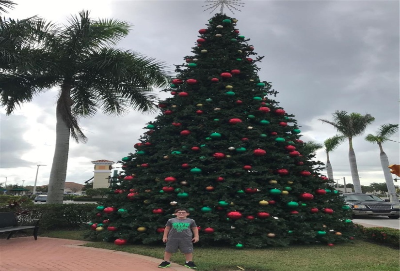 Downtown Coco Plum Plaza at Christmas time