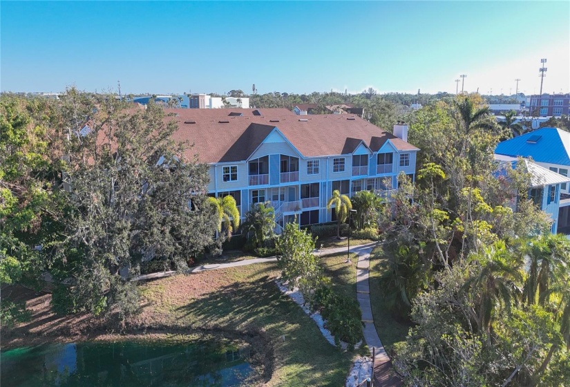 BUILDING FROM BAYOU