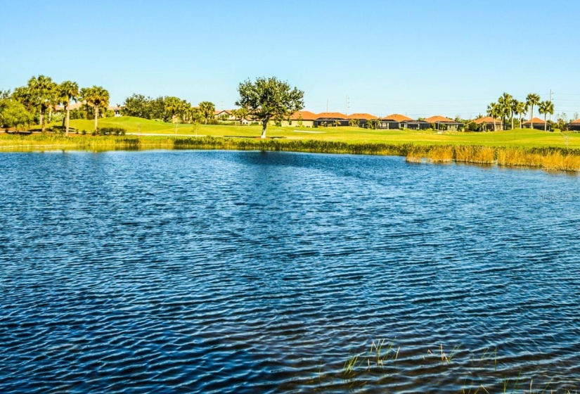 View of the 11th green