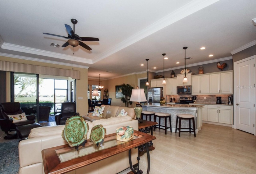 Great room, kitchen