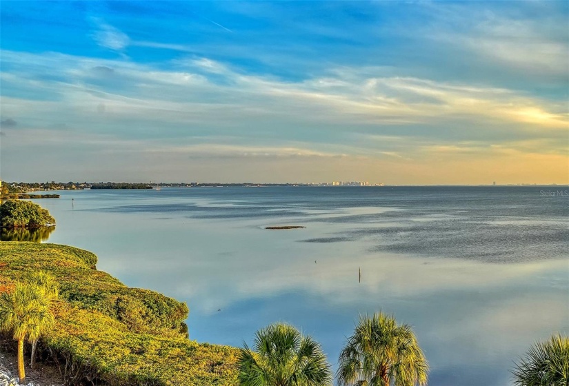 Downtown Sarasota Skyline