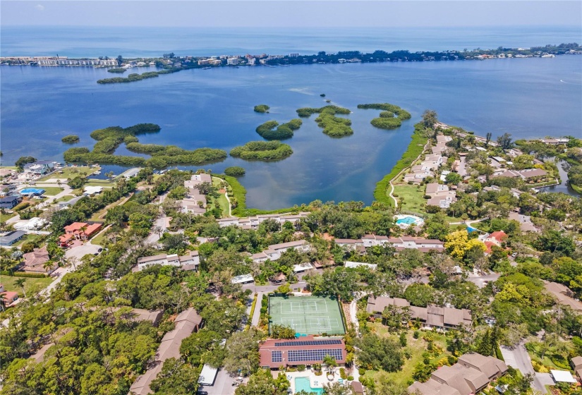 Overview of Pelican Cove along Sarasota Bay