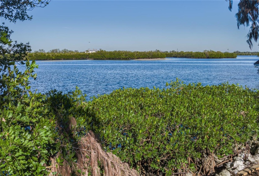 Braden River Looking East