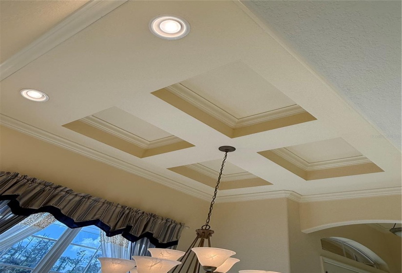 Dining Room Ceiling