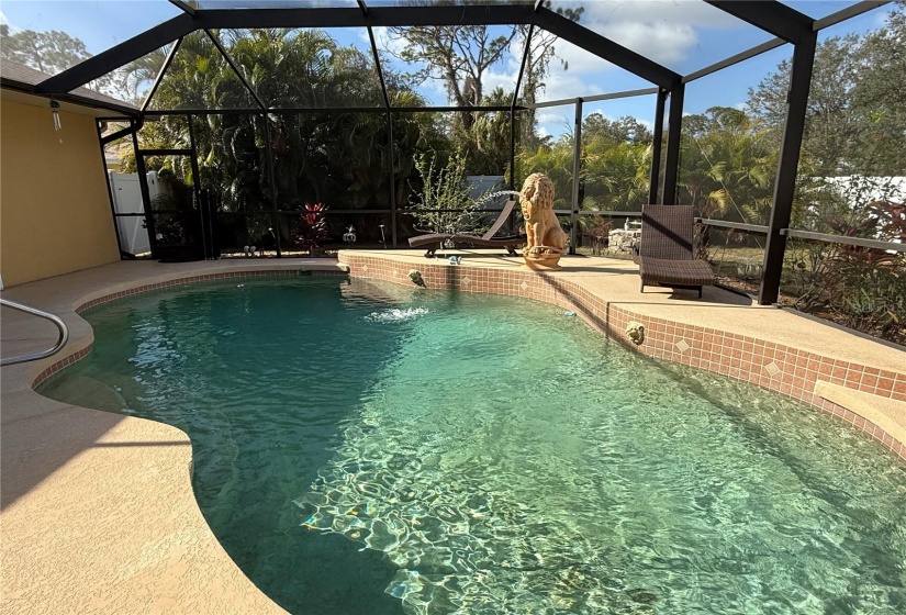 Heated pool features large Lion fountain