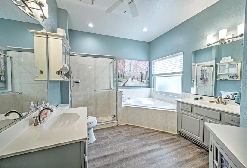 Primary bathroom with walk-in shower and separate tub