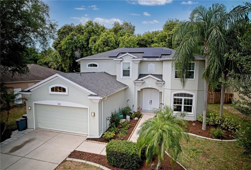 Beautiful palm trees around the front of the home