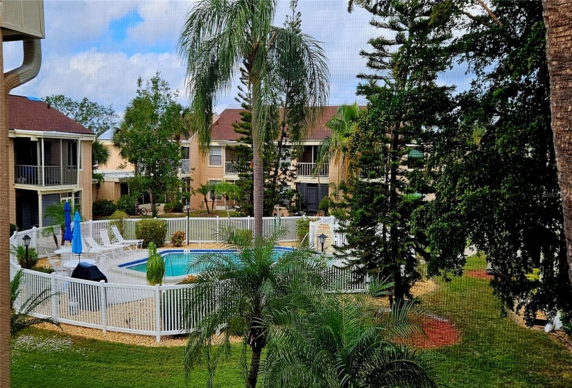 Pool view from screened Lanai