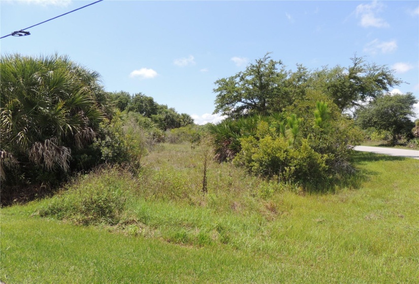 Street view corner of Keystone and Applin Cr. Large oversized lot perferct for an estated size home with a pool and 3 car garage. Side walk view on the left.