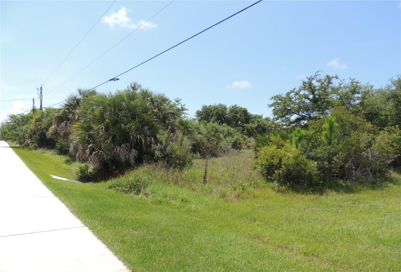 Sidewalk to the left and overall view of the lot