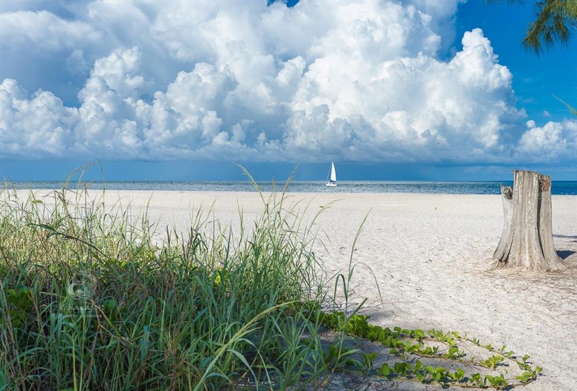 Beach at the North end