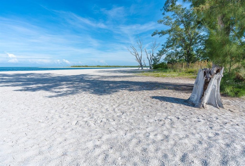 Beach at the North end