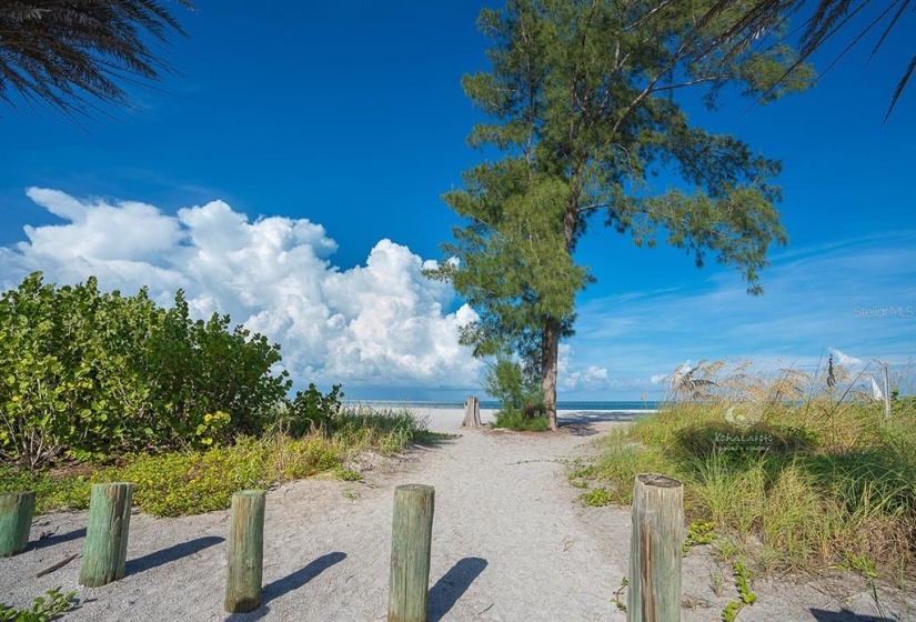 Beach at the North end