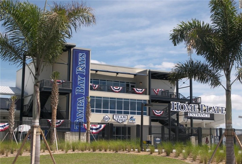 Sports are big here - the Rays stadium just down the road a bit