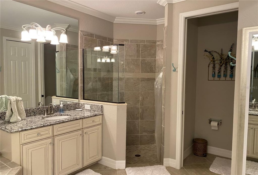 master bathroom with walk in shower