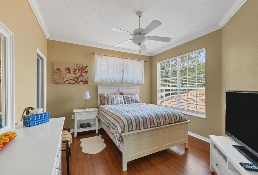 Guest Bedroom with TV and Walk-In Closet