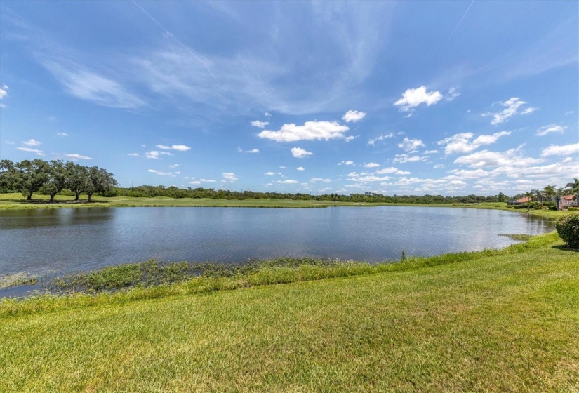 Peaceful Pond View