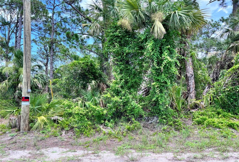 BEAUTIFUL Homesite for your future FLORIDA home