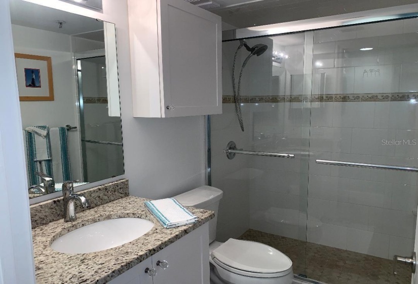 Guest bathroom with shower