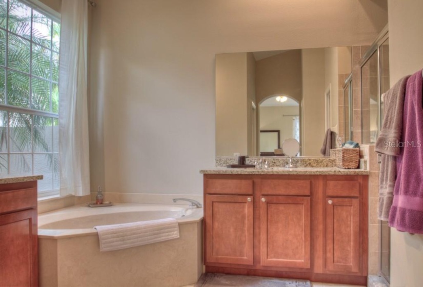 Master En-suite Bath with garden Tub and dual vanities