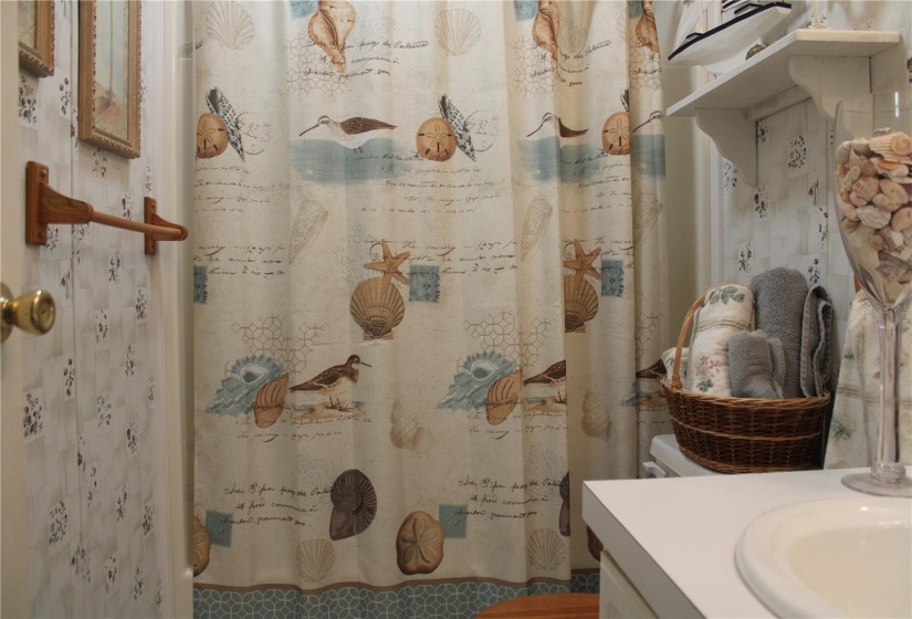 Guest bathroom