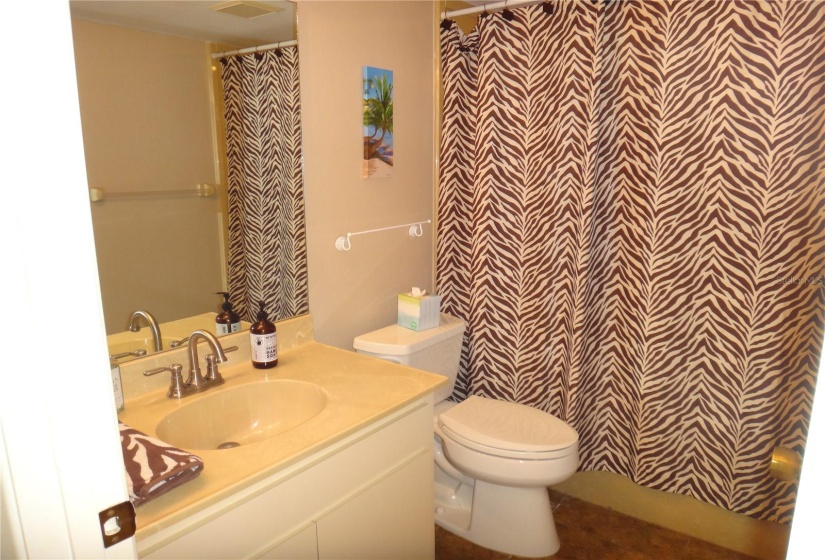 Guest Bathroom