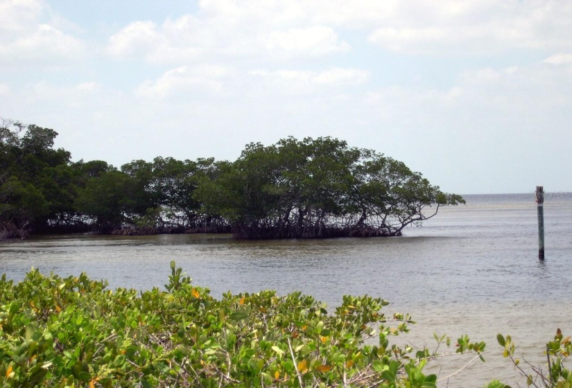 Ponce De Leon Park