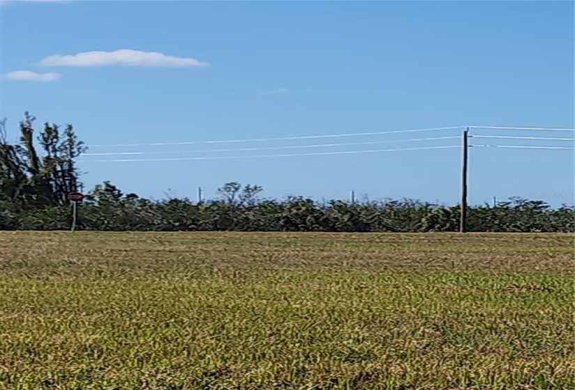 Power  lines on Baracudda