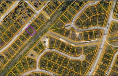 Aerial view of lot (purple box is lot location).  On a greenbelt - better view, more privacy.