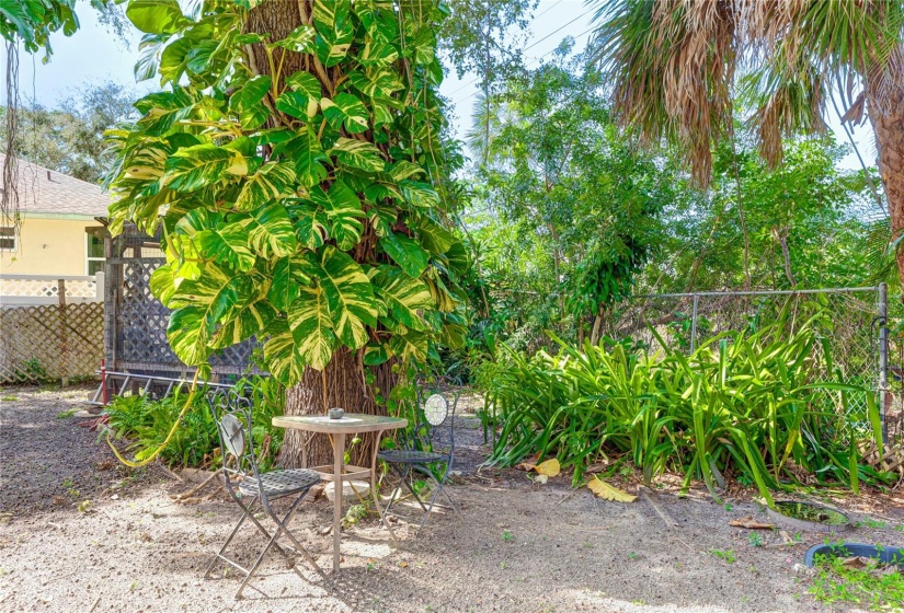 Spacious Back yard