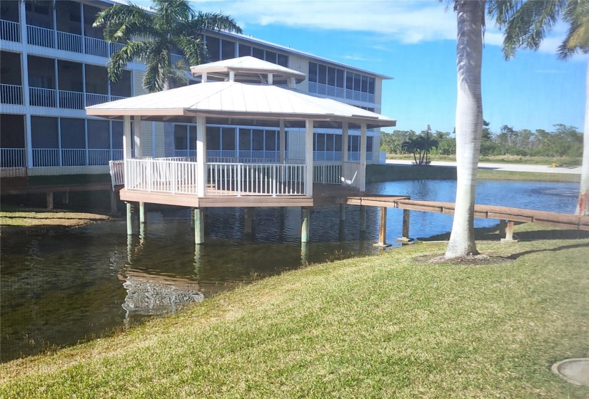 View from Patio