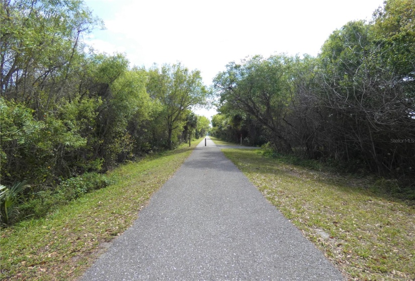 CAPE HAZE PIONEER TRAIL