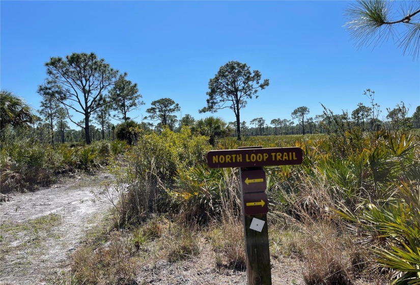 MYAKKA STATE FOREST