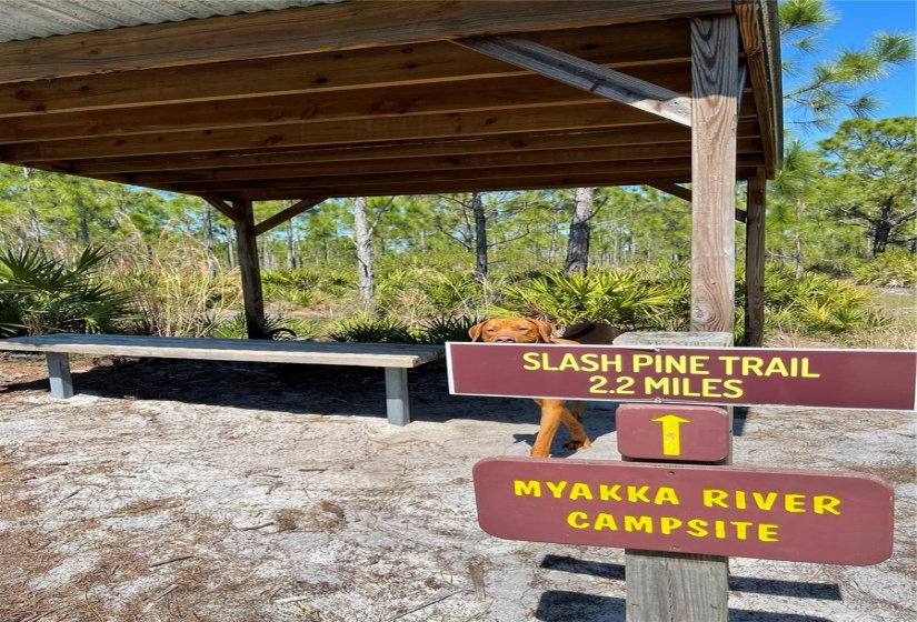 MYAKKA STATE FOREST