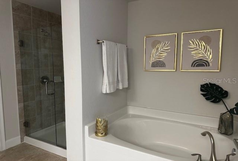 Owner's bath with garden tub and tiled shower